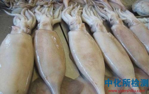 魷魚(yú)檢測(cè)