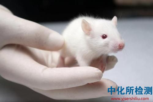 半數(shù)致死量測(cè)定